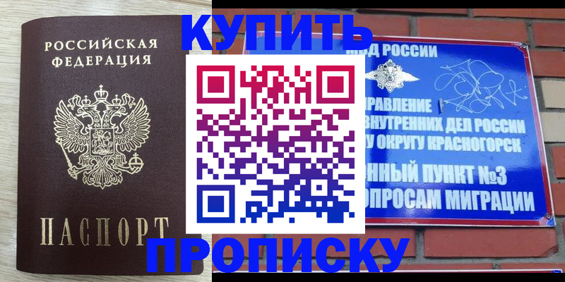 прописка гарантия в Новоалександровске
